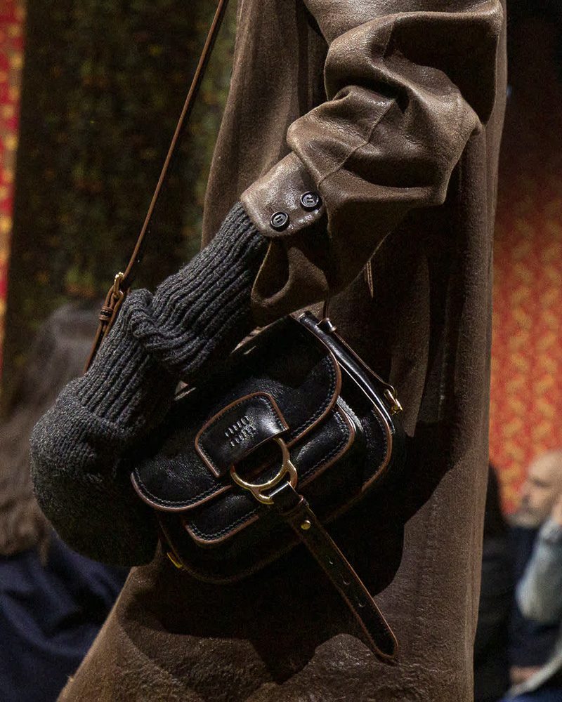 Miu Miu Arcadie Bag — gold rivets detail